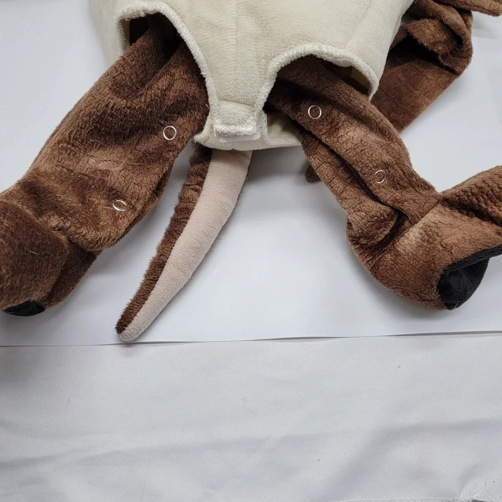 3 Month Hatching Triceratops Costume Dinosaur Egg Costume for Baby, Halloween